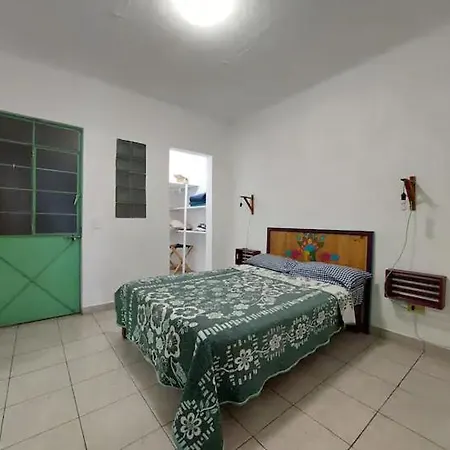 Barrio Mexicaltzingo 520 Apartment